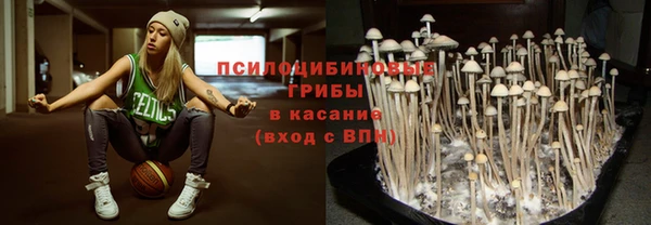синтетический гашиш Белокуриха