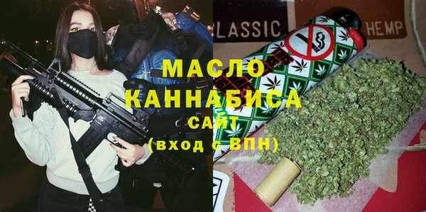 сатива Беломорск