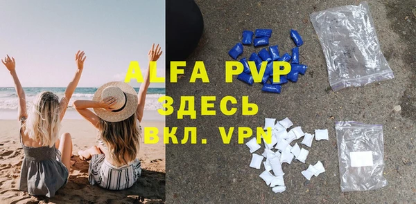 сатива Беломорск