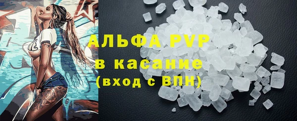 сатива Беломорск