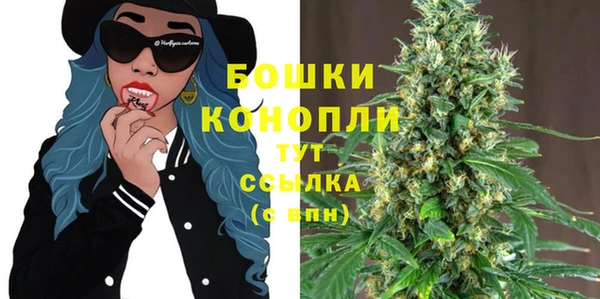 сатива Беломорск