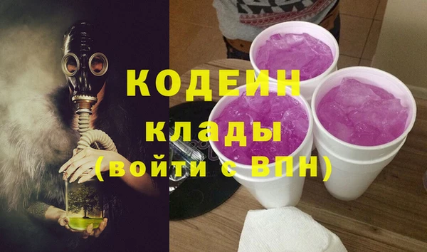 дживик Богородск