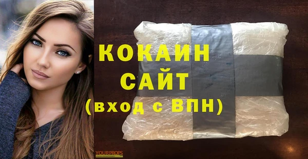 сатива Беломорск