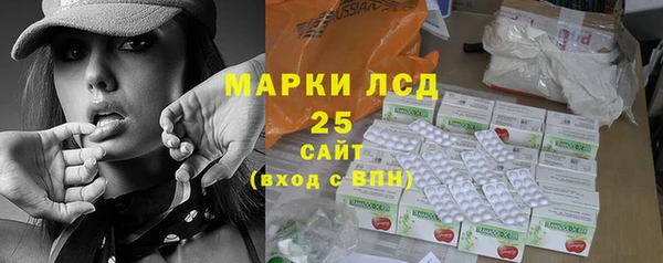 сатива Беломорск