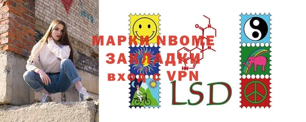сатива Беломорск
