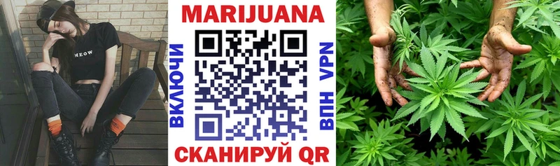 Канабис планчик Белокуриха